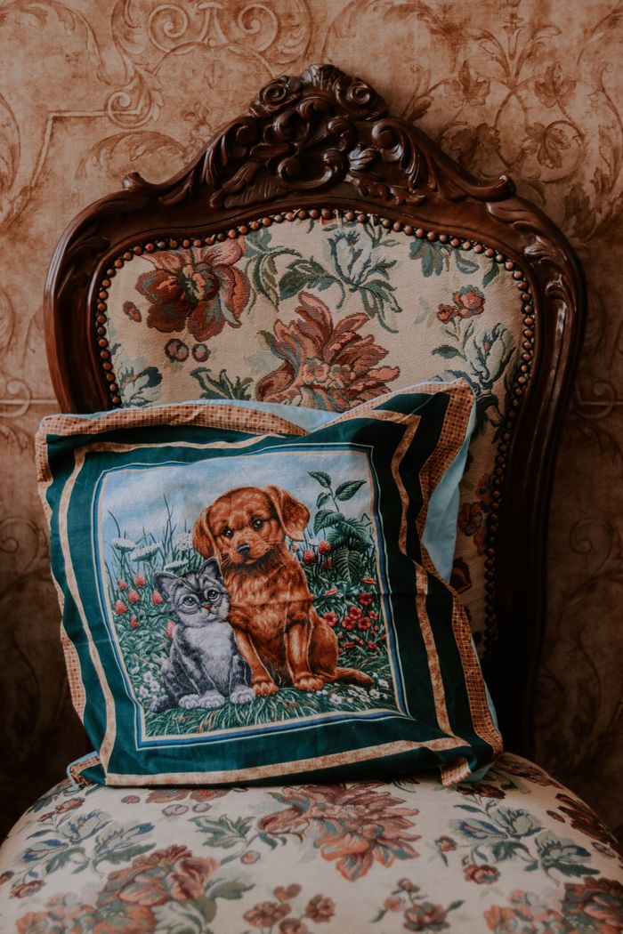A vintage floral chair with a cushion featuring a cat and dog print, creating a classic and cozy atmosphere.